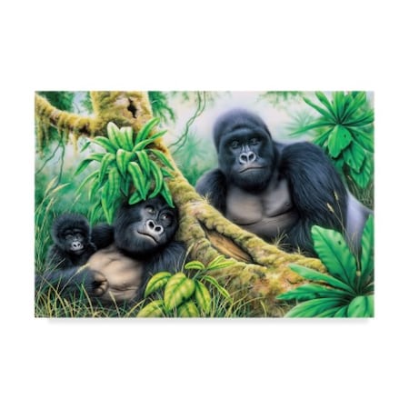 Howard Robinson 'Two Gorillas' Canvas Art,16x24